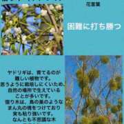 ヒメ日記 2023/08/31 01:28 投稿 海堂けいこ 大人めシンデレラ 新横浜店