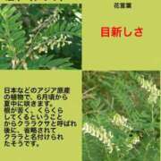 ヒメ日記 2023/09/13 00:18 投稿 海堂けいこ 大人めシンデレラ 新横浜店