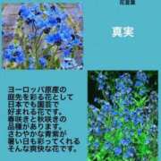 ヒメ日記 2023/09/13 00:25 投稿 海堂けいこ 大人めシンデレラ 新横浜店