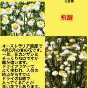 ヒメ日記 2023/09/16 05:01 投稿 海堂けいこ 大人めシンデレラ 新横浜店