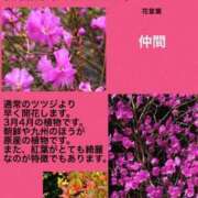 ヒメ日記 2023/09/25 03:43 投稿 海堂けいこ 大人めシンデレラ 新横浜店