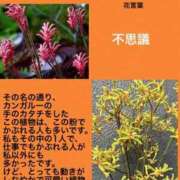 ヒメ日記 2023/09/29 19:12 投稿 海堂けいこ 大人めシンデレラ 新横浜店