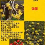 ヒメ日記 2023/10/24 23:01 投稿 海堂けいこ 大人めシンデレラ 新横浜店