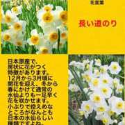 ヒメ日記 2023/11/06 21:45 投稿 海堂けいこ 大人めシンデレラ 新横浜店