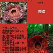 ヒメ日記 2025/02/01 02:10 投稿 海堂けいこ 大人めシンデレラ 新横浜店