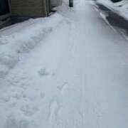 ヒメ日記 2026/02/03 19:15 投稿 海堂けいこ 大人めシンデレラ 新横浜店（シンデレラグループ）