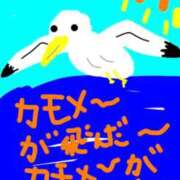 ヒメ日記 2026/02/20 14:02 投稿 海堂けいこ 大人めシンデレラ 新横浜店（シンデレラグループ）