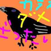 ヒメ日記 2026/04/06 23:49 投稿 海堂けいこ 大人めシンデレラ 新横浜店（シンデレラグループ）