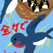 ヒメ日記 2026/04/22 11:09 投稿 海堂けいこ 大人めシンデレラ 新横浜店（シンデレラグループ）