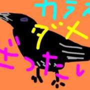 海堂けいこ あと、今日カラスに襲われそうなった。 大人めシンデレラ 新横浜店（シンデレラグループ）