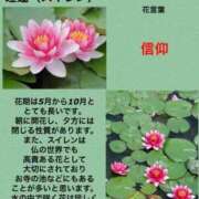 ヒメ日記 2023/09/25 03:54 投稿 けいこ 横浜人妻ヒットパレード