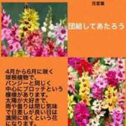 ヒメ日記 2023/10/24 22:44 投稿 けいこ 横浜人妻ヒットパレード