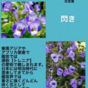 ヒメ日記 2023/12/10 23:54 投稿 けいこ 横浜人妻ヒットパレード