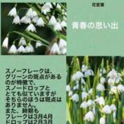 ヒメ日記 2024/06/01 01:48 投稿 けいこ 横浜人妻ヒットパレード