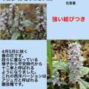 ヒメ日記 2024/06/01 02:06 投稿 けいこ 横浜人妻ヒットパレード