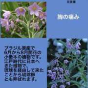 ヒメ日記 2024/06/17 00:11 投稿 けいこ 横浜人妻ヒットパレード