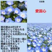 ヒメ日記 2024/07/25 19:30 投稿 けいこ 横浜人妻ヒットパレード