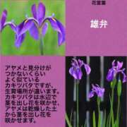 ヒメ日記 2024/10/12 18:50 投稿 けいこ 横浜人妻ヒットパレード