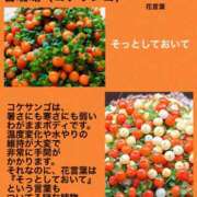 ヒメ日記 2024/10/24 04:09 投稿 けいこ 横浜人妻ヒットパレード