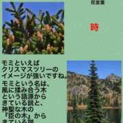 ヒメ日記 2024/10/24 04:15 投稿 けいこ 横浜人妻ヒットパレード