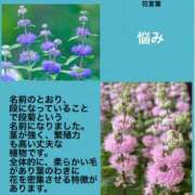 ヒメ日記 2024/10/24 04:21 投稿 けいこ 横浜人妻ヒットパレード