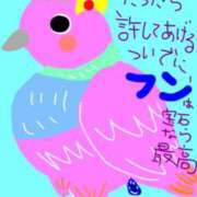 ヒメ日記 2025/12/18 21:30 投稿 けいこ 横浜人妻ヒットパレード（シンデレラグループ）