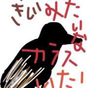 ヒメ日記 2026/05/19 19:31 投稿 けいこ 横浜人妻ヒットパレード（シンデレラグループ）