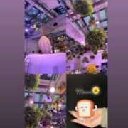 ヒメ日記 2025/01/07 12:33 投稿 もあな ハピネス東京