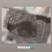 ヒメ日記 2025/04/01 21:17 投稿 もあな ハピネス東京