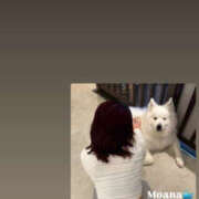 ヒメ日記 2025/11/16 05:47 投稿 もあな ハピネス東京