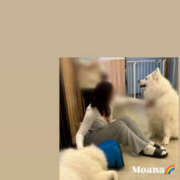 ヒメ日記 2025/11/19 05:47 投稿 もあな ハピネス東京