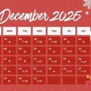 ヒメ日記 2025/11/25 07:57 投稿 もあな ハピネス東京