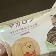 ヒメ日記 2025/02/22 23:06 投稿 琴葉 茜 人妻セレブ宮殿