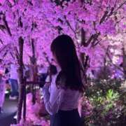 ヒメ日記 2025/03/24 17:37 投稿 琴葉 茜 人妻セレブ宮殿