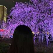 ヒメ日記 2025/04/04 23:28 投稿 琴葉 茜 人妻セレブ宮殿