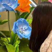 ヒメ日記 2025/04/14 21:31 投稿 琴葉 茜 人妻セレブ宮殿