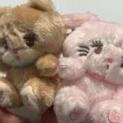 ヒメ日記 2025/04/20 23:35 投稿 琴葉 茜 人妻セレブ宮殿