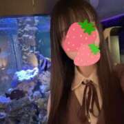 ヒメ日記 2025/09/24 20:30 投稿 琴葉 茜 人妻セレブ宮殿