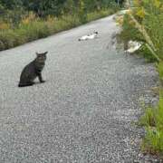 ヒメ日記 2025/10/19 20:19 投稿 琴葉 茜 人妻セレブ宮殿