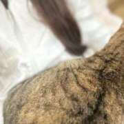 ヒメ日記 2025/12/28 16:25 投稿 琴葉 茜 人妻セレブ宮殿