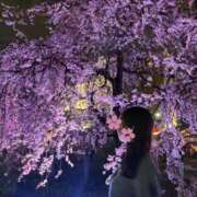 琴葉 茜 4月🌸 人妻セレブ宮殿