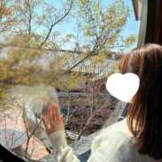 琴葉 茜 お裾分け🎁 人妻セレブ宮殿