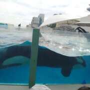 ヒメ日記 2025/08/09 14:42 投稿 るみ みるくDX