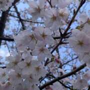 ヒメ日記 2026/04/09 13:47 投稿 よしの 佐久上田人妻隊