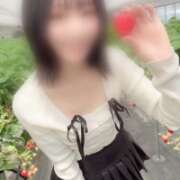 ヒメ日記 2026/04/17 14:10 投稿 みさきち ていくぷらいど.学園