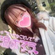 ヒメ日記 2024/12/15 09:55 投稿 イヴ シャングリラ