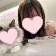 ヒメ日記 2025/07/12 12:49 投稿 イヴ シャングリラ