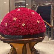 ヒメ日記 2024/12/17 23:30 投稿 藤江美羽 ハールブルク