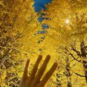 藤江美羽 明日にします🙇‍♀️ ハールブルク