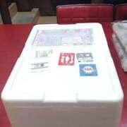 ヒメ日記 2025/12/30 14:31 投稿 藤江美羽 ハールブルク